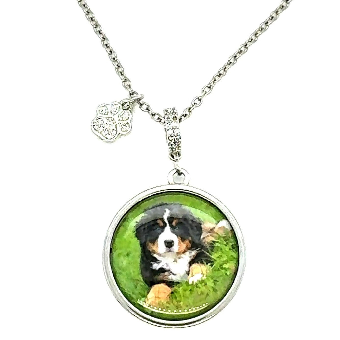 Personalized Pet Locket Necklace with Paw Charm - Perfect Pendants Plus